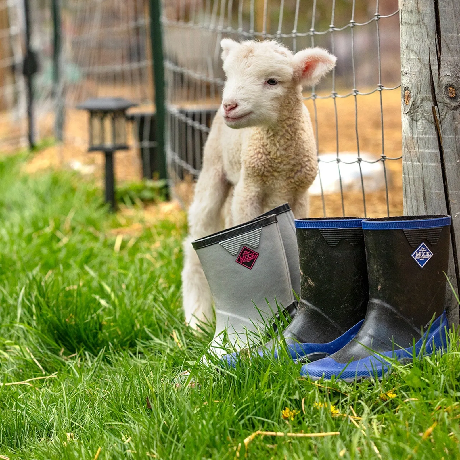 Muck Boots Forager Kid's Wellington Boots