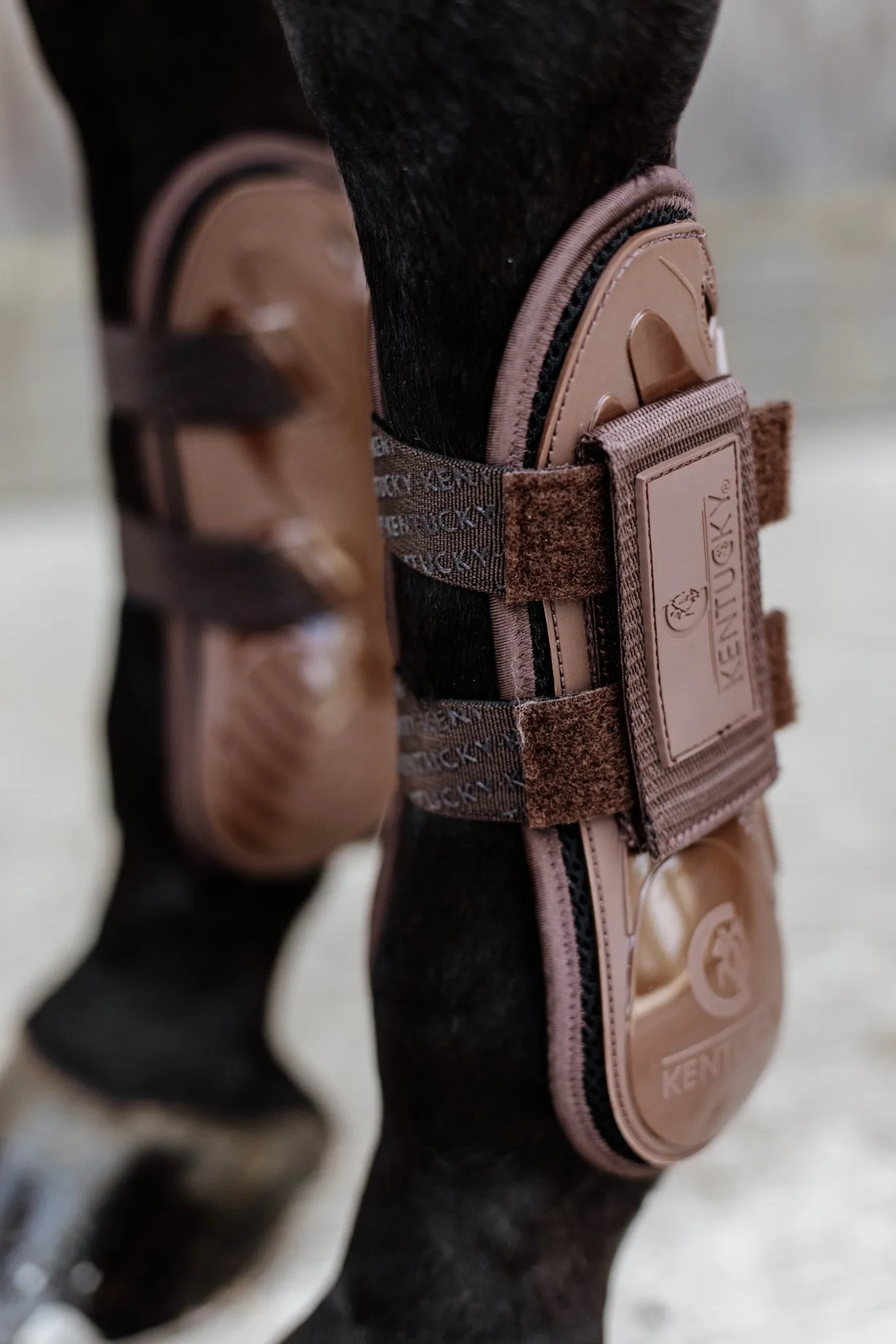 Tendon Boots Velcro