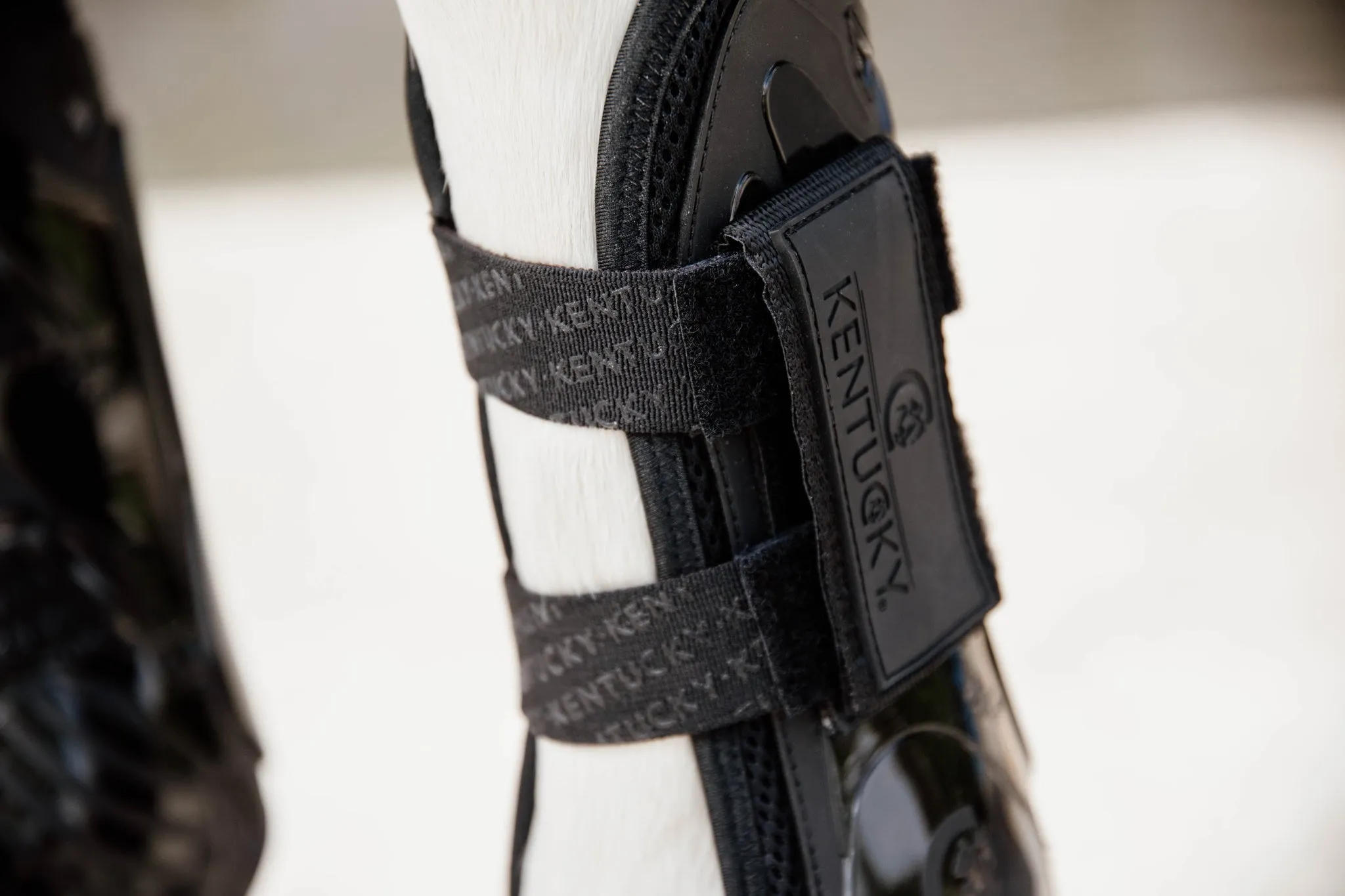 Tendon Boots Velcro