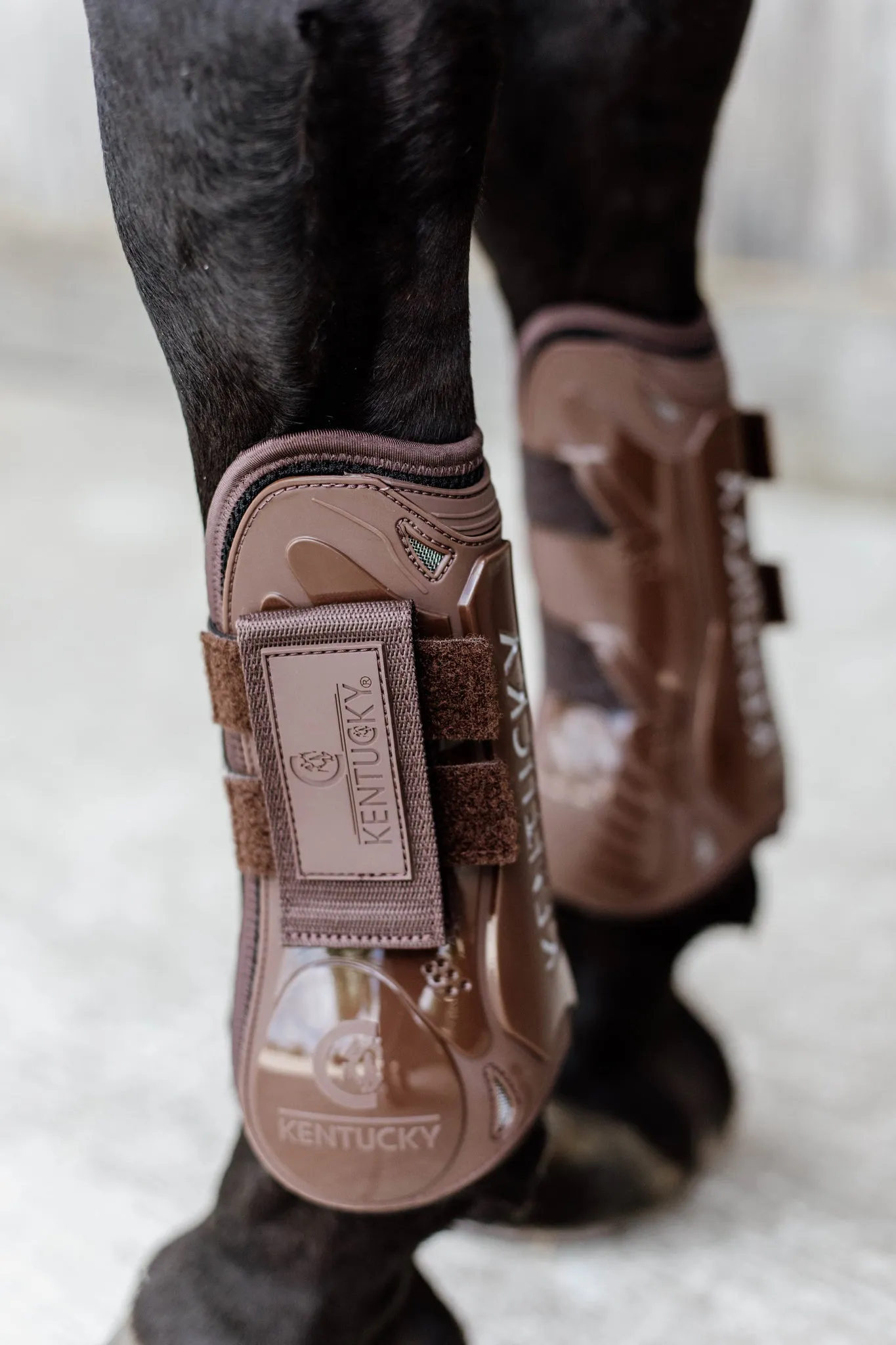 Tendon Boots Velcro