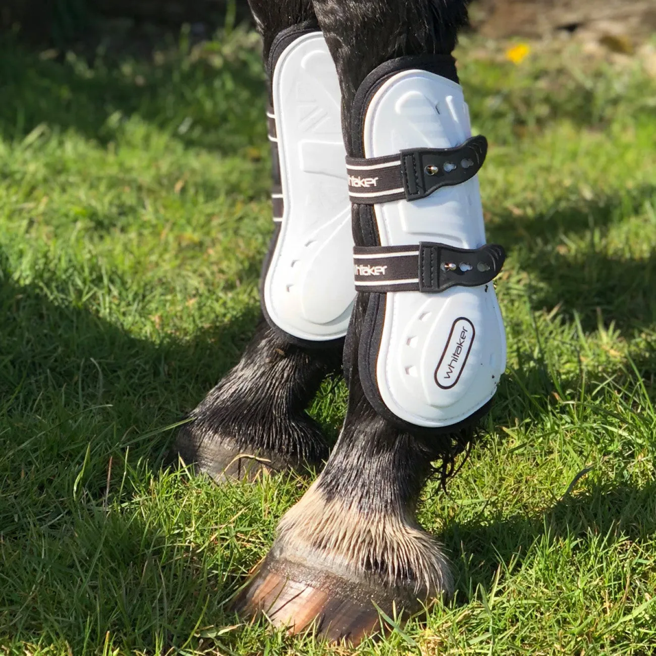 Whitaker Bingley Tendon & Fetlock Boot Set